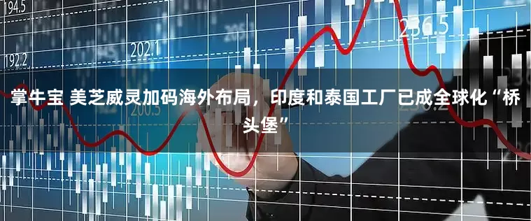 掌牛宝 美芝威灵加码海外布局，印度和泰国工厂已成全球化“桥头堡”