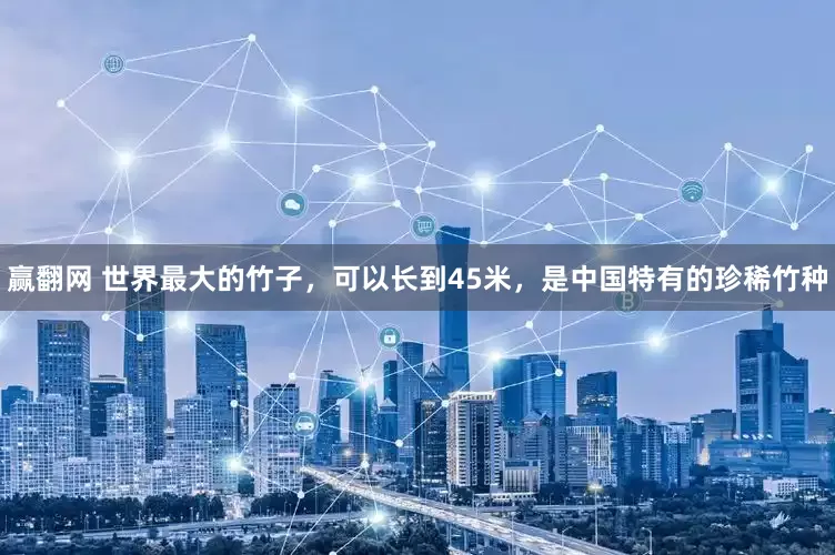 赢翻网 世界最大的竹子，可以长到45米，是中国特有的珍稀竹种