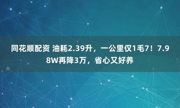 同花顺配资 油耗2.39升，一公里仅1毛7！7.98W再降3万，省心又好养
