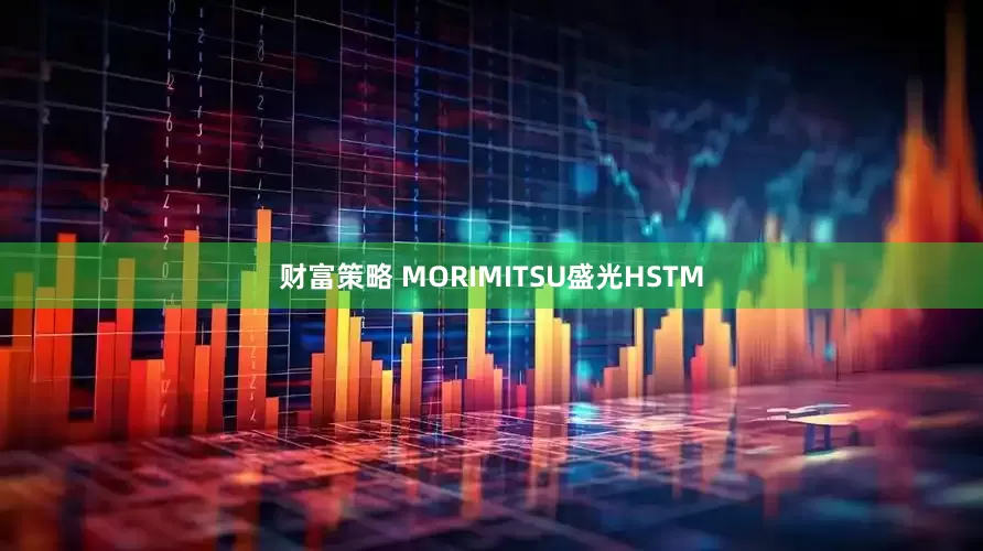 财富策略 MORIMITSU盛光HSTM