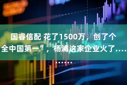 国睿信配 花了1500万，创了个“全中国第一”，杨浦这家企业火了……