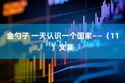 金勺子 一天认识一个国家——（11）文莱